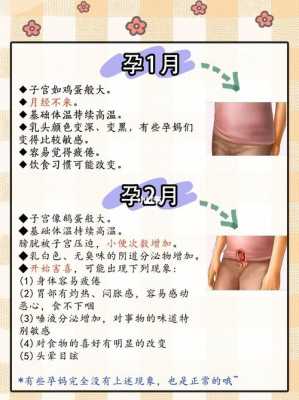 怀孕期间再次怀孕(怀孕期间再次怀孕怎么生) 第2张 怀孕期间再次怀孕(怀孕期间再次怀孕怎么生) 第2张