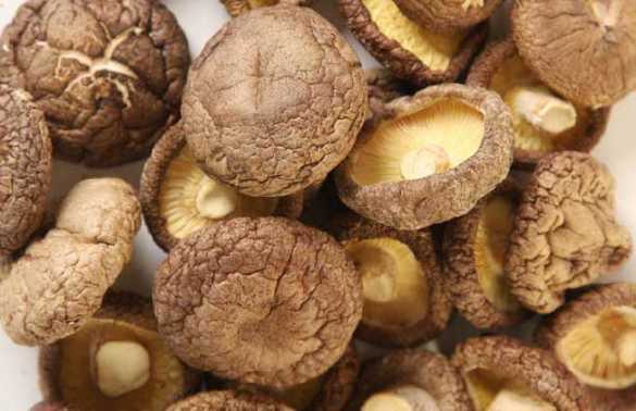 孕期香菇可以吃吗(孕期香菇可以吃吗有营养吗) 第1张 孕期香菇可以吃吗(孕期香菇可以吃吗有营养吗) 第1张