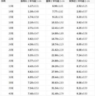 31周胎儿股骨长(31周的胎宝宝多大) 第1张 31周胎儿股骨长(31周的胎宝宝多大) 第1张