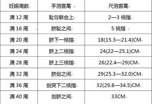 怀孕26周肚子有多大,26周胎儿大小标准参考值 第3张 怀孕26周肚子有多大,26周胎儿大小标准参考值 第3张