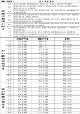 22周胎儿多重(孕22周flbpd正常值是多少) 第3张 22周胎儿多重(孕22周flbpd正常值是多少) 第3张