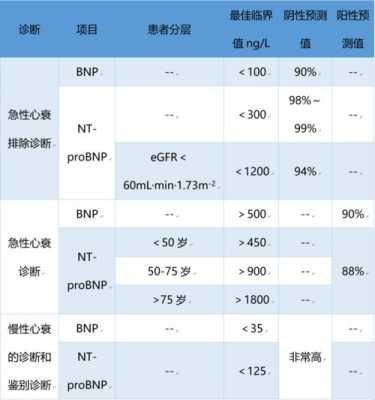 胎儿nt正常值(nt报告单怎么看) 第2张 胎儿nt正常值(nt报告单怎么看) 第2张