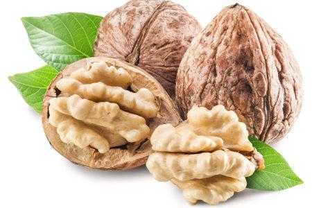 孕期什么时候吃核桃(孕期什么时候吃核桃好) 第2张 孕期什么时候吃核桃(孕期什么时候吃核桃好) 第2张