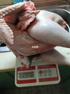 孕妇可以吃公鸡肉吗,孕期可以吃公鸡吗? 第2张 孕妇可以吃公鸡肉吗,孕期可以吃公鸡吗? 第2张