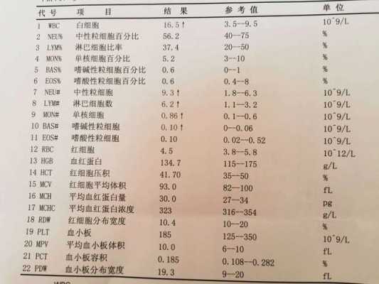 孕期尿白细胞高,孕期白细胞高怎么办呢  第1张
