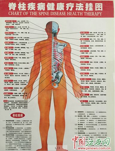 胎儿脊柱显示不清(孕16周B超单显示脊椎骶尾部显示不清,余大致正常?有关系吗) 第2张 胎儿脊柱显示不清(孕16周B超单显示脊椎骶尾部显示不清,余大致正常?有关系吗) 第2张