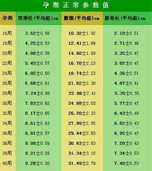 33周胎儿大小(33周胎儿大小正常范围) 第2张 33周胎儿大小(33周胎儿大小正常范围) 第2张