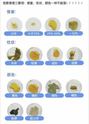 孕期用力(孕期用力大便会影响胎儿吗) 第2张 孕期用力(孕期用力大便会影响胎儿吗) 第2张