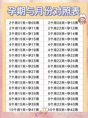 孕期怎么算几周（中孕期是几周到几周）  第3张