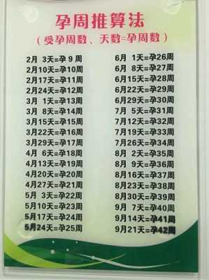 孕期怎么算几周（中孕期是几周到几周）  第1张