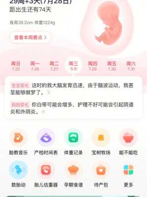 孕期计算机(妈妈网孕育产期倒计时怎么看) 第3张 孕期计算机(妈妈网孕育产期倒计时怎么看) 第3张