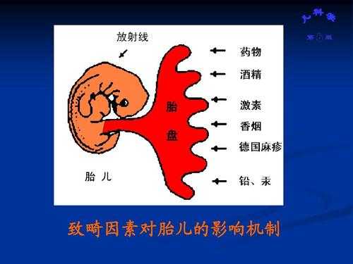 影响胎儿发育的因素(影响胎儿发育的因素) 第1张 影响胎儿发育的因素(影响胎儿发育的因素) 第1张