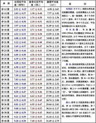 孕38周双顶径95,股骨73那么胎儿有多重？怎样计算的,38周胎儿发育标准数据  第2张