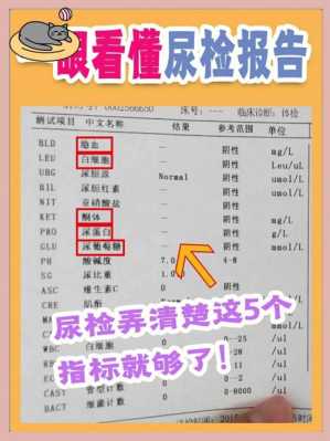 孕期糖尿病检查(孕期糖尿病检查) 第1张 孕期糖尿病检查(孕期糖尿病检查) 第1张