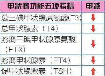孕期甲减原因(孕期甲减原因有哪些) 第3张 孕期甲减原因(孕期甲减原因有哪些) 第3张