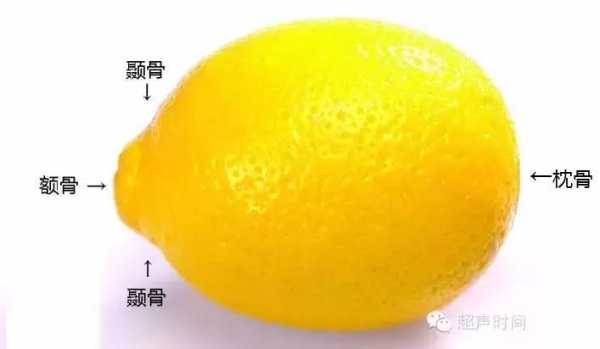 胎儿柠檬头(婴儿什么时候可以吃柠檬) 第3张 胎儿柠檬头(婴儿什么时候可以吃柠檬) 第3张