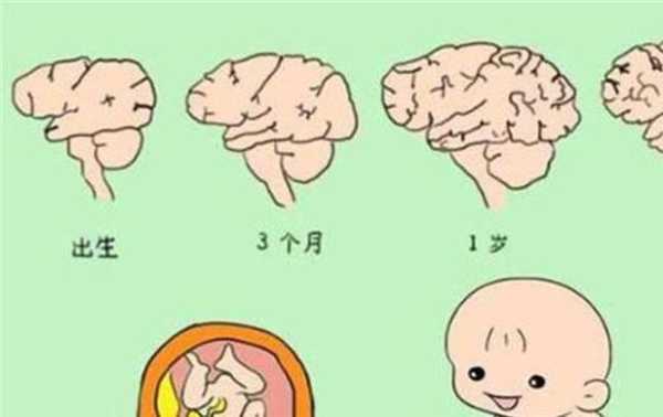 婴儿大脑缺氧的症状,孕妇胎儿缺氧有什么症状 第1张 婴儿大脑缺氧的症状,孕妇胎儿缺氧有什么症状 第1张