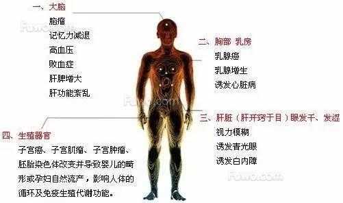 辐射对怀孕的人有多大的影响,胎儿 辐射 第2张 辐射对怀孕的人有多大的影响,胎儿 辐射 第2张