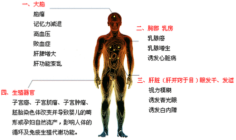 辐射对怀孕的人有多大的影响,胎儿 辐射 第3张 辐射对怀孕的人有多大的影响,胎儿 辐射 第3张