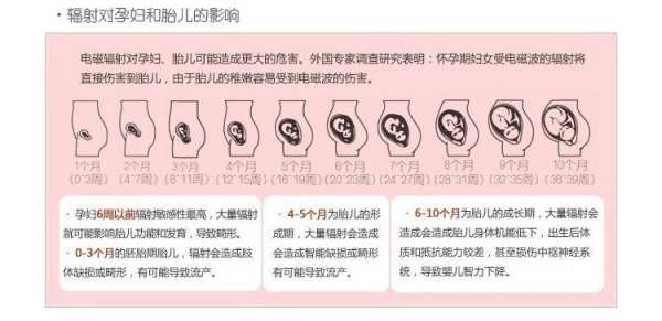 辐射对怀孕的人有多大的影响,胎儿 辐射 第1张 辐射对怀孕的人有多大的影响,胎儿 辐射 第1张