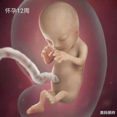 胎儿图片男(男生叫你宝宝什么意思) 第3张 胎儿图片男(男生叫你宝宝什么意思) 第3张