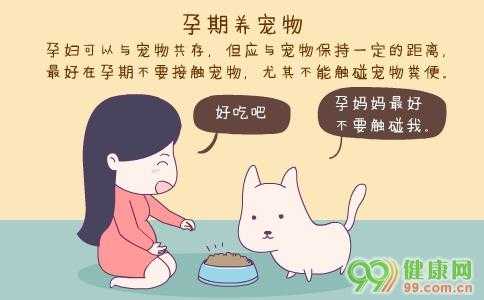 孕期能养宠物吗(孕期能养宠物吗) 第2张 孕期能养宠物吗(孕期能养宠物吗) 第2张