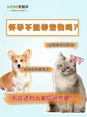 孕期能养宠物吗(孕期能养宠物吗) 第1张 孕期能养宠物吗(孕期能养宠物吗) 第1张