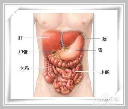 胎儿胆囊稍大(胎儿胆囊偏小的原因) 第1张 胎儿胆囊稍大(胎儿胆囊偏小的原因) 第1张