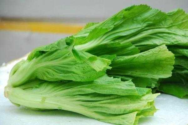 怀孕了可以吃芥菜吗,孕妇吃芥菜对胎儿有影响吗 第2张 怀孕了可以吃芥菜吗,孕妇吃芥菜对胎儿有影响吗 第2张