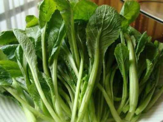 怀孕了可以吃芥菜吗,孕妇吃芥菜对胎儿有影响吗 第1张 怀孕了可以吃芥菜吗,孕妇吃芥菜对胎儿有影响吗 第1张