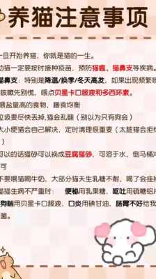 怀孕养猫文案,孕期养猫注意事项有哪些  第1张