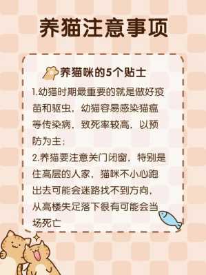 怀孕养猫文案,孕期养猫注意事项有哪些  第2张