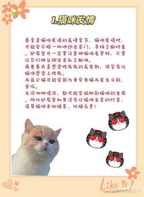 怀孕养猫文案,孕期养猫注意事项有哪些  第3张