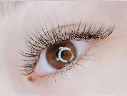 孕期可以种睫毛吗(孕期可以种睫毛吗有影响吗) 第2张 孕期可以种睫毛吗(孕期可以种睫毛吗有影响吗) 第2张