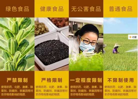 孕妇能吃芝麻盐吗？怀孕之后饮食需要注意哪些事项,孕妇怀孕期间吃什么好才有营养  第1张