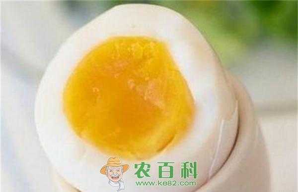 孕期什么时候吃鹅蛋(孕期什么时候吃鹅蛋好,吃多长时间?) 第3张 孕期什么时候吃鹅蛋(孕期什么时候吃鹅蛋好,吃多长时间?) 第3张