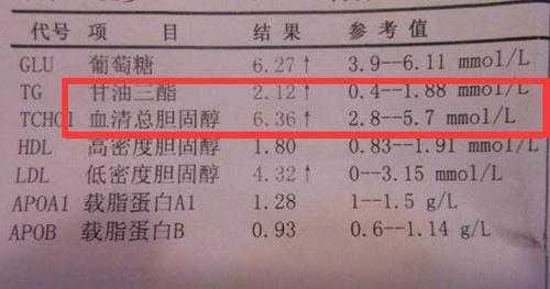 怀孕后甘油三酯高是怎么回事,孕期高血脂怎么办 第1张 怀孕后甘油三酯高是怎么回事,孕期高血脂怎么办 第1张