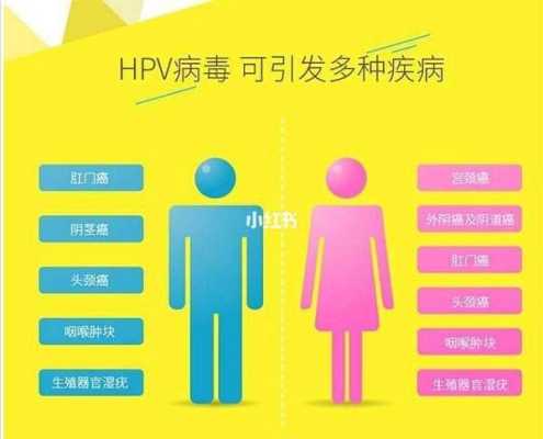 孕期hpv感染怎么办(hpv病毒是如何感染的) 第2张 孕期hpv感染怎么办(hpv病毒是如何感染的) 第2张