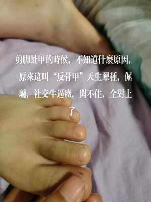 甲影响胎儿(反骨甲宝宝怎么教育) 第2张 甲影响胎儿(反骨甲宝宝怎么教育) 第2张