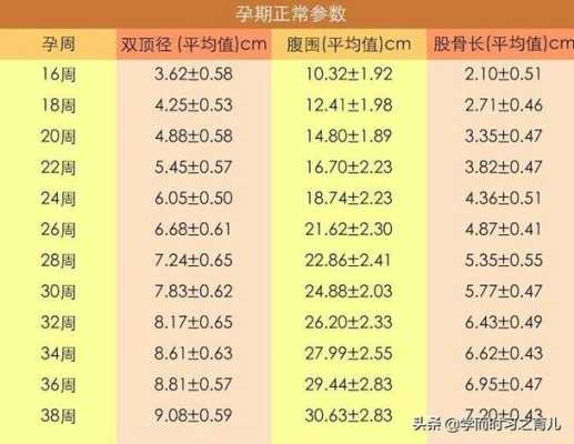 孕36周胎儿发育标准值是什么,胎儿36周发育标准数值  第2张