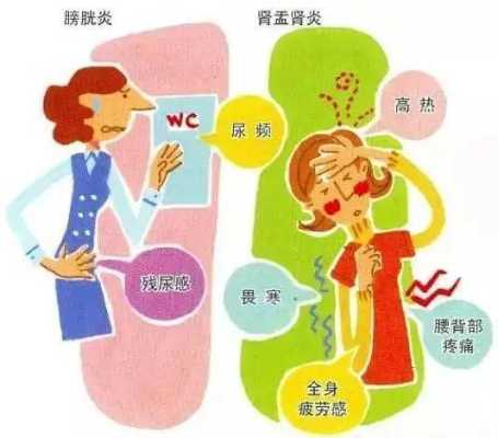 为什么孕妇容易患尿路感染,孕期尿路感染怎么办 第2张 为什么孕妇容易患尿路感染,孕期尿路感染怎么办 第2张