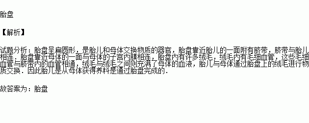 胎儿的营养(胎儿的营养从母体哪里获得) 第2张 胎儿的营养(胎儿的营养从母体哪里获得) 第2张