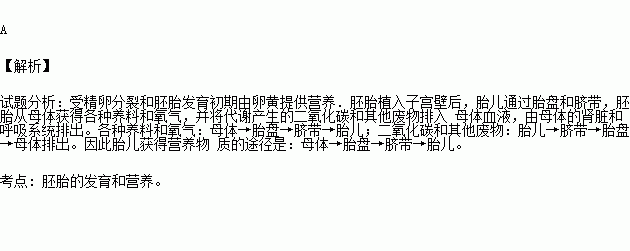 胎儿的营养(胎儿的营养从母体哪里获得) 第3张 胎儿的营养(胎儿的营养从母体哪里获得) 第3张