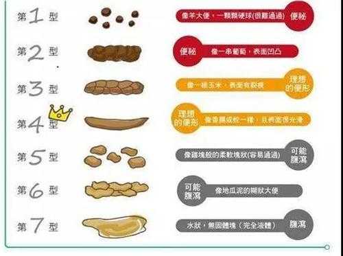 孕期排便(怀孕后大便就很多了是怎么回事) 第3张 孕期排便(怀孕后大便就很多了是怎么回事) 第3张
