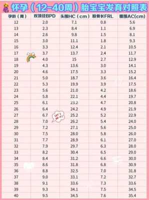 29周胎儿发育标准(29周的胎儿正常体重是多少) 第3张 29周胎儿发育标准(29周的胎儿正常体重是多少) 第3张