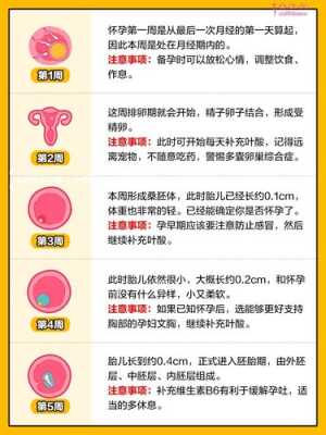 风险胎儿(胎儿风险标准是多少) 第2张 风险胎儿(胎儿风险标准是多少) 第2张