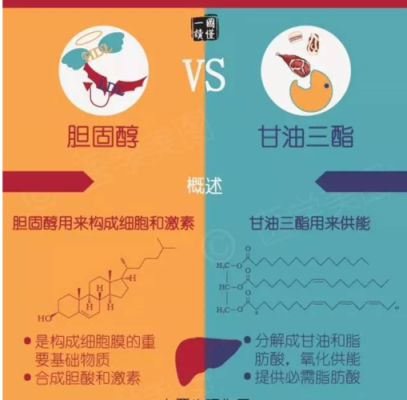 怀孕胆固醇高怎么办,孕期胆固醇和甘油三酯偏高原因 第1张 怀孕胆固醇高怎么办,孕期胆固醇和甘油三酯偏高原因 第1张