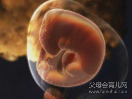 胎儿反应(宝宝1个月表现) 第2张 胎儿反应(宝宝1个月表现) 第2张