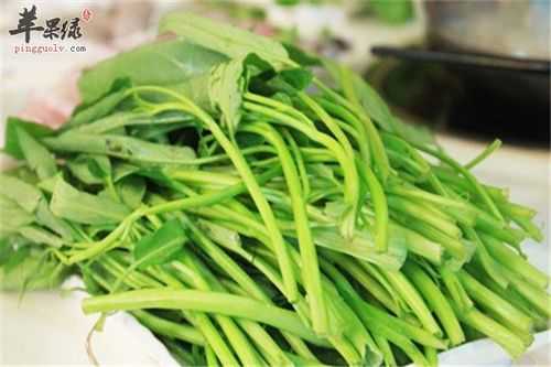 孕妇可以吃空心菜吗,孕期可以吃空心菜吗? 第2张 孕妇可以吃空心菜吗,孕期可以吃空心菜吗? 第2张