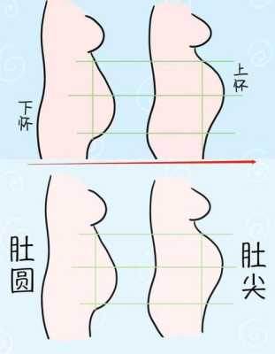 胎儿是圆的(胎儿是圆的是男的还是女的) 第2张 胎儿是圆的(胎儿是圆的是男的还是女的) 第2张